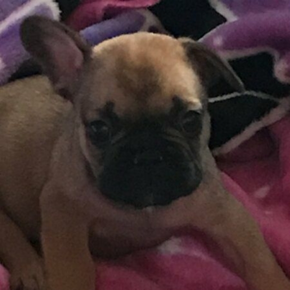 Meet your Posher, Paula - Picture 1 of 1